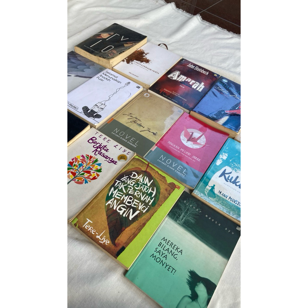 Preloved Novel Kumpulan Puisi Langka Bekas