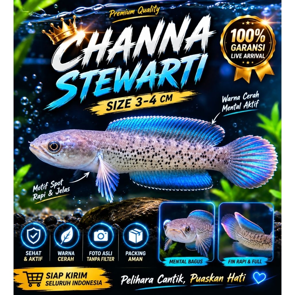ChannaBabyStewarti