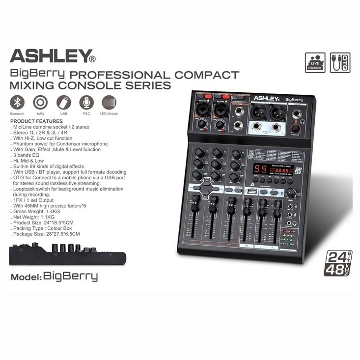 Mixer Audio ASHLEY BigBerry efek digital 99DSP Original