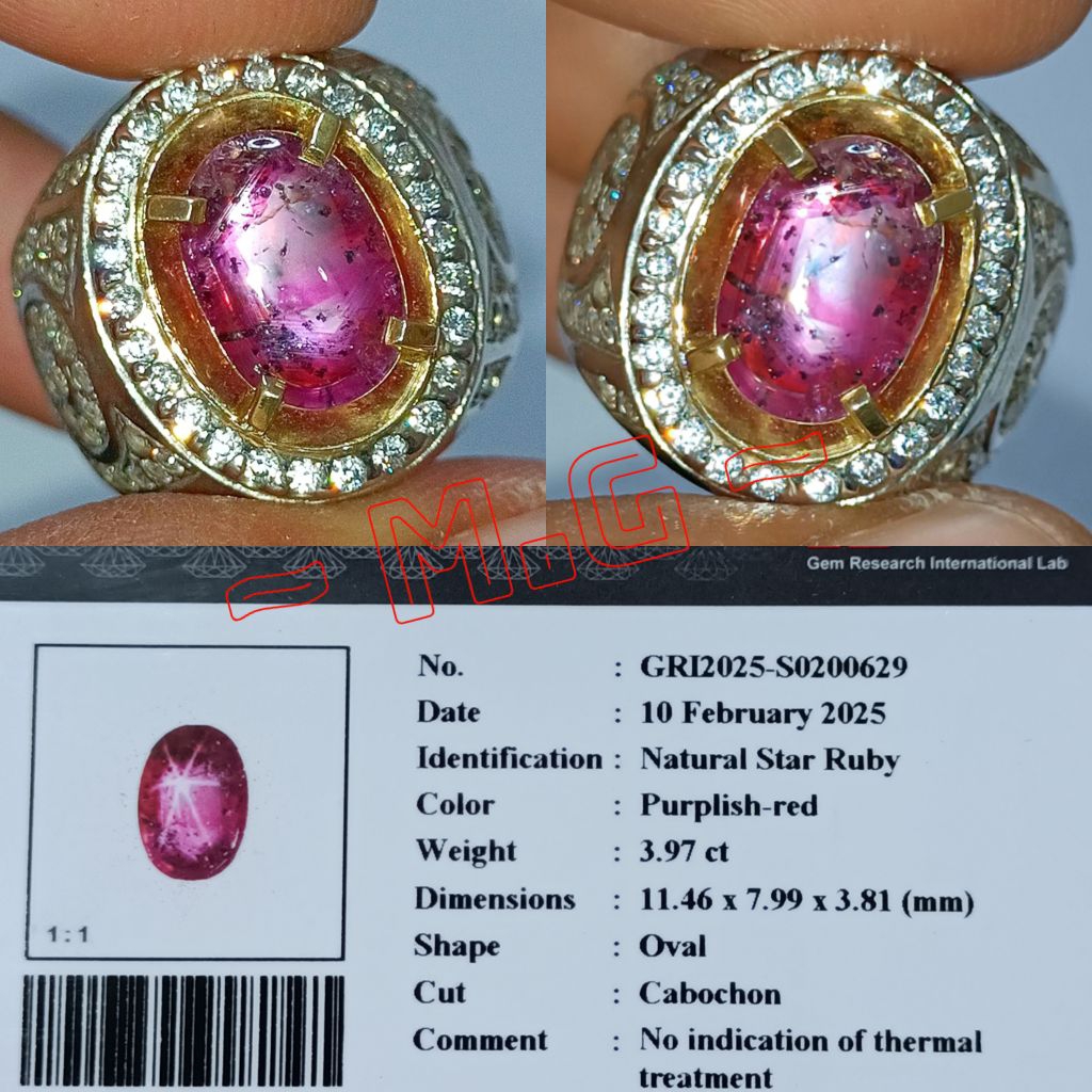 NATURAL PERMATA STAR RUBY CORUNDUM NO HEATED 3.97 CARAT PURPLISH RED IKAT RING PERAK MEWAH MEMO GRI 