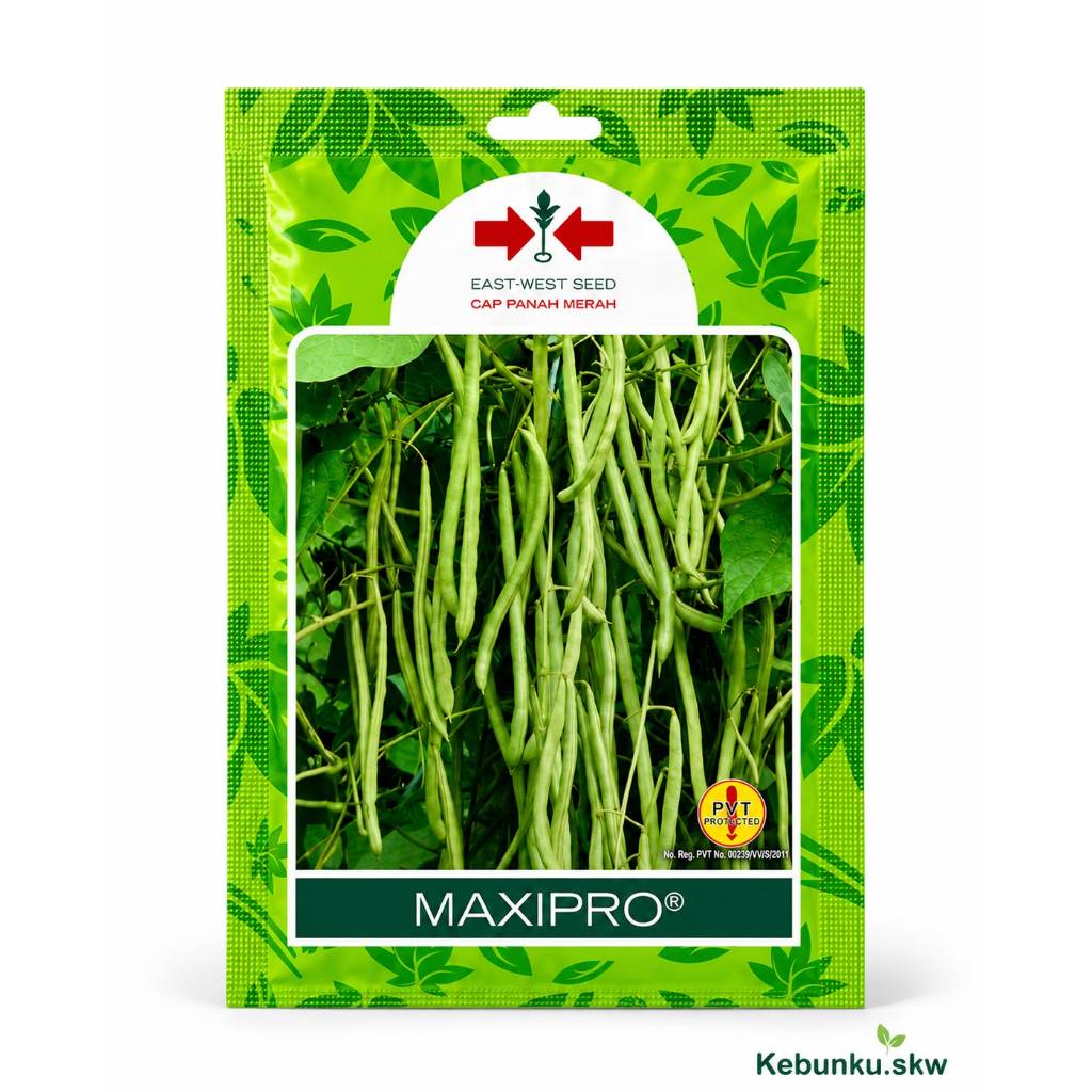 Benih Buncis Maxipro