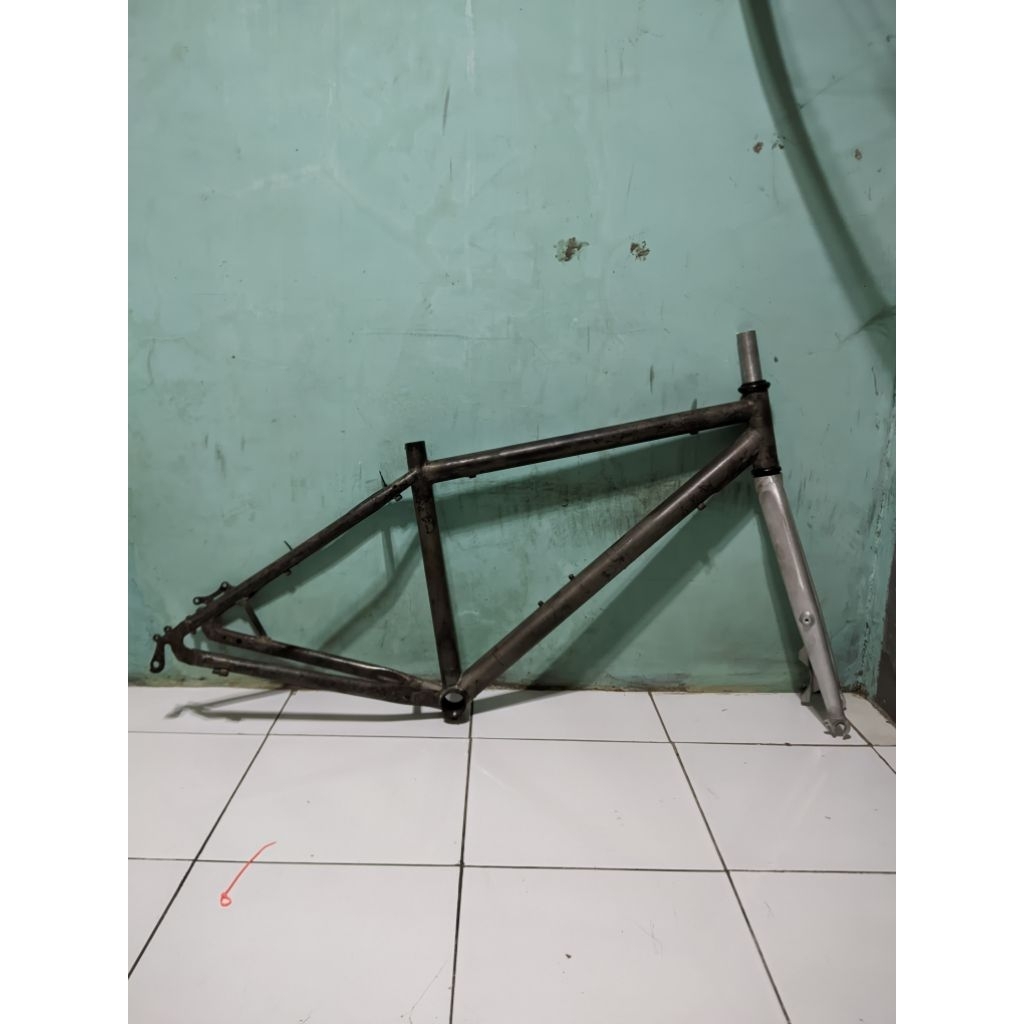 frameset polygon monarch 1.0