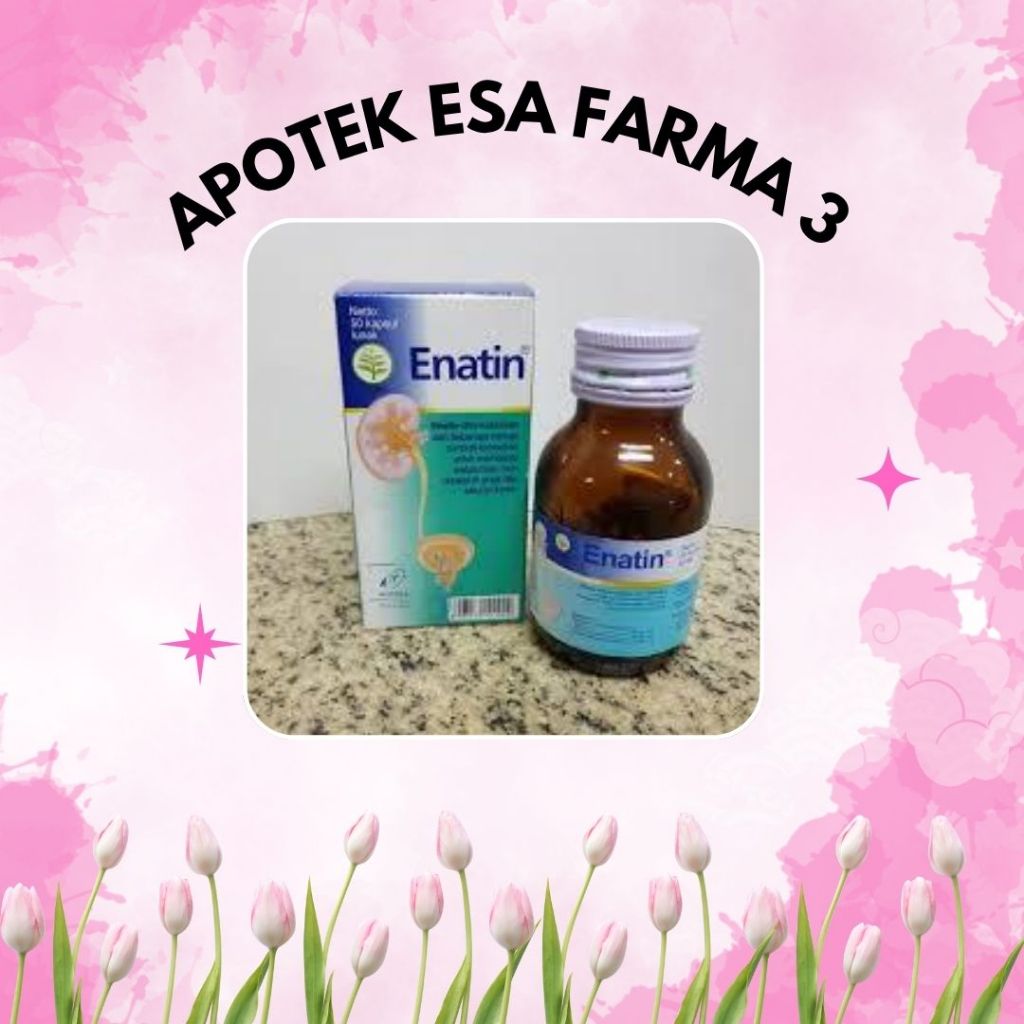 ENATIN BLISTER 9 KAPSUL OBAT HERBAL BATU GINJAL