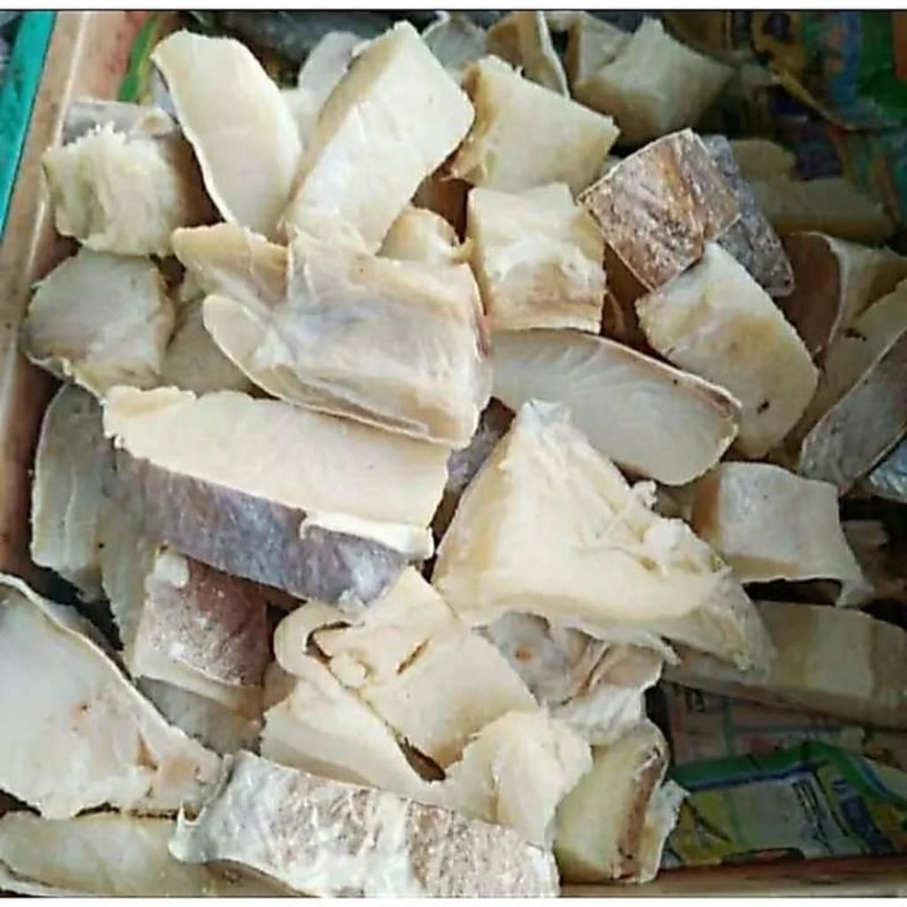 Ikan Cucut Segar