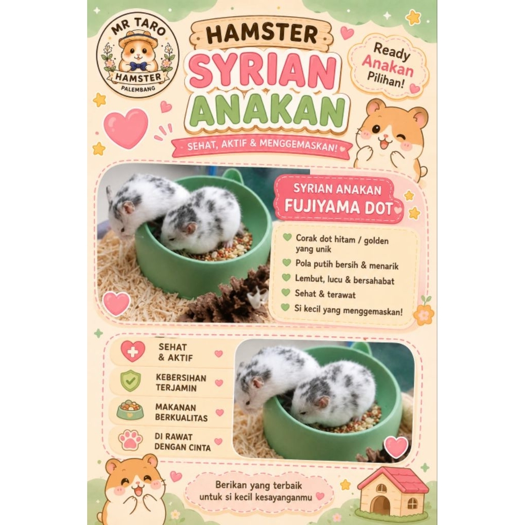 Anakan Hamster Syrian Fujiyama dan TRICO ( PALEMBANG ONLY)