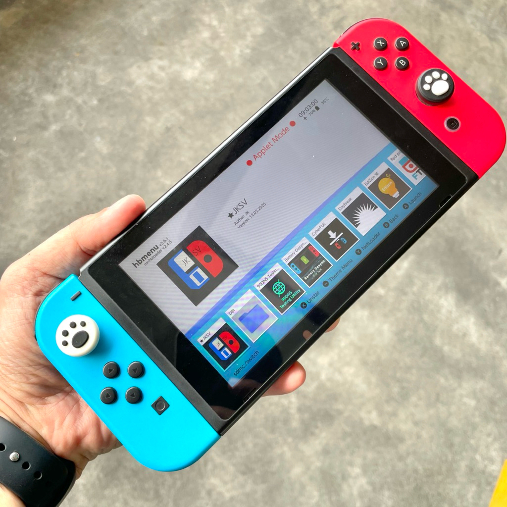 Nintendo Switch V1 • CFW • fullset