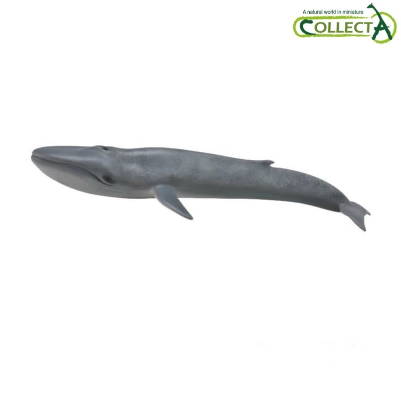CollectA 88834 Blue Whale