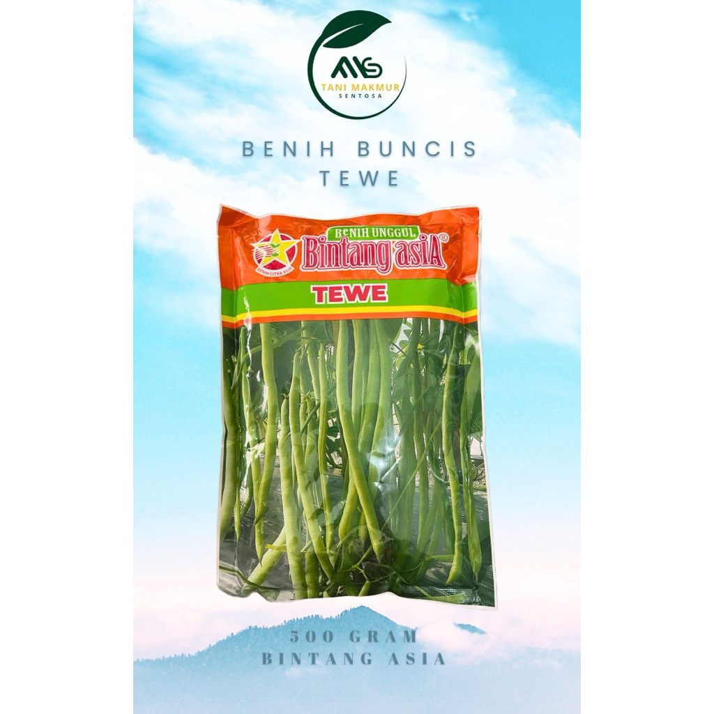Benih Buncis TEWE 500 gram (Bintang Asia)