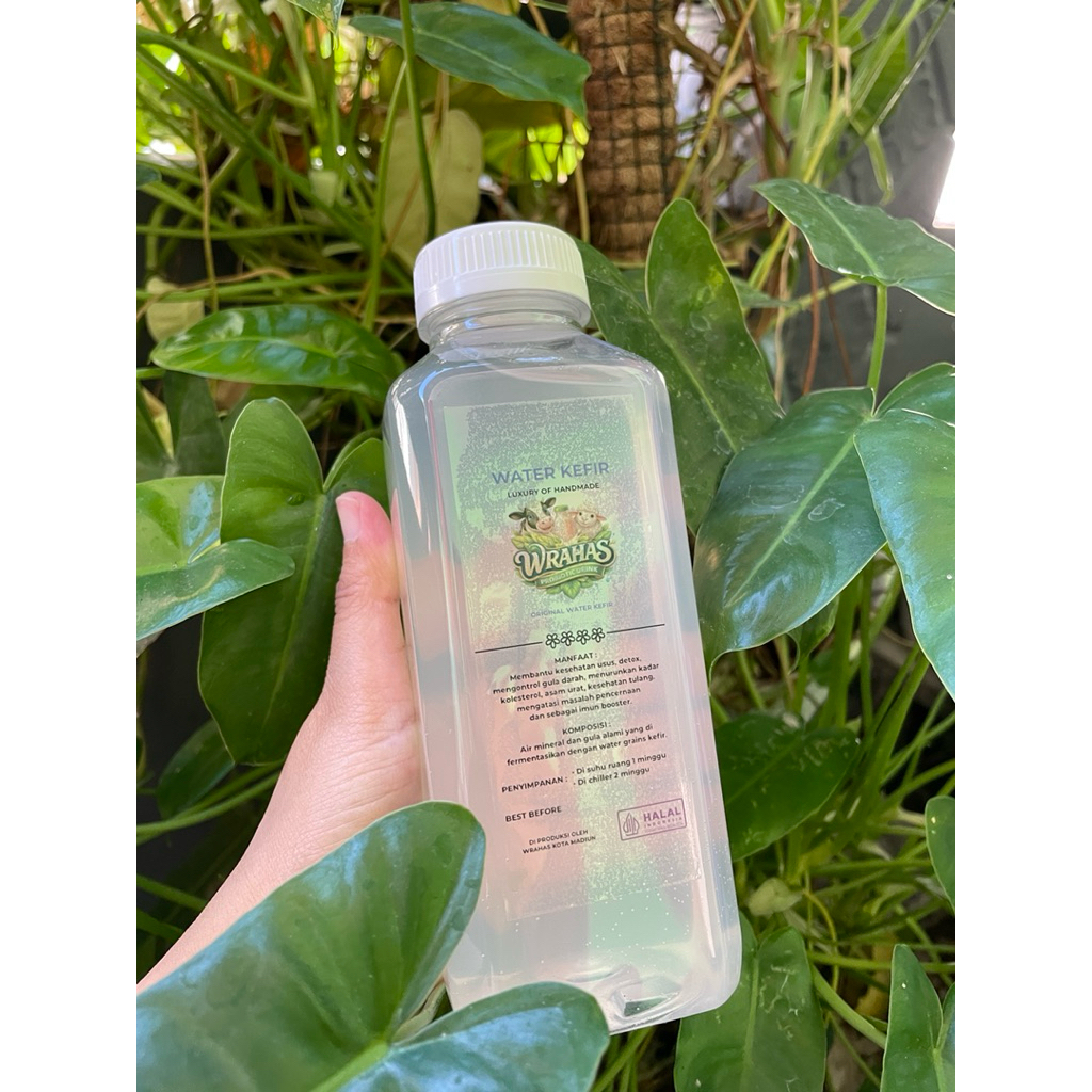 WATER KEFIR ORIGINAL