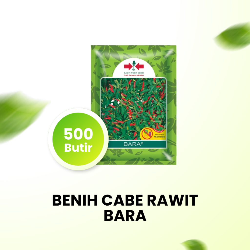 Benih Cabe Rawit Bara
