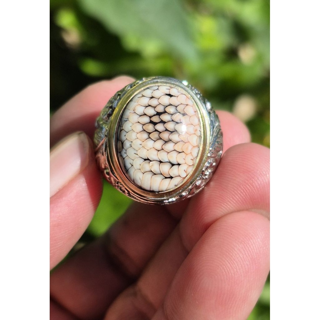 Natural Sisik Ular Jipen (Jipen Madura)