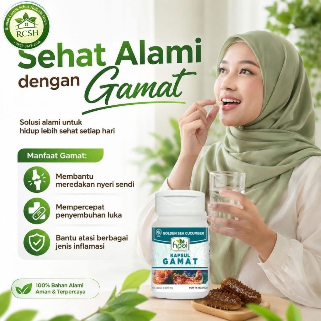 Gamat/teripang emas/kolagen