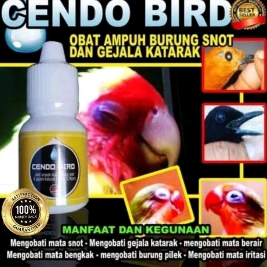 Cendo Bird Obat Burung Sakit Mata Mengobati Dan Mencegah Katarak Berlendir Berair Dan Snot