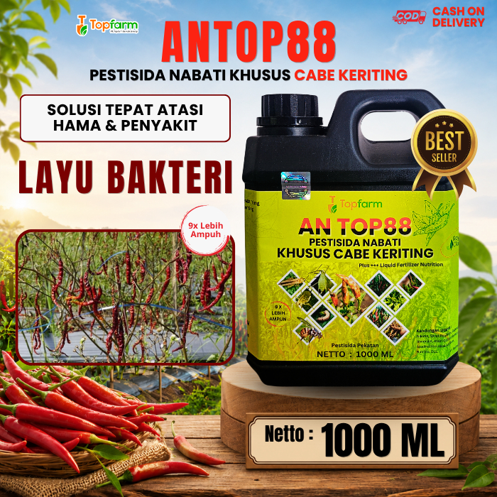 Obat Layu Bakteri Cabe Merah / Obat Daun Cabe Layu / Obat Hama Penyakit Tanaman Cabai / Pestisida La