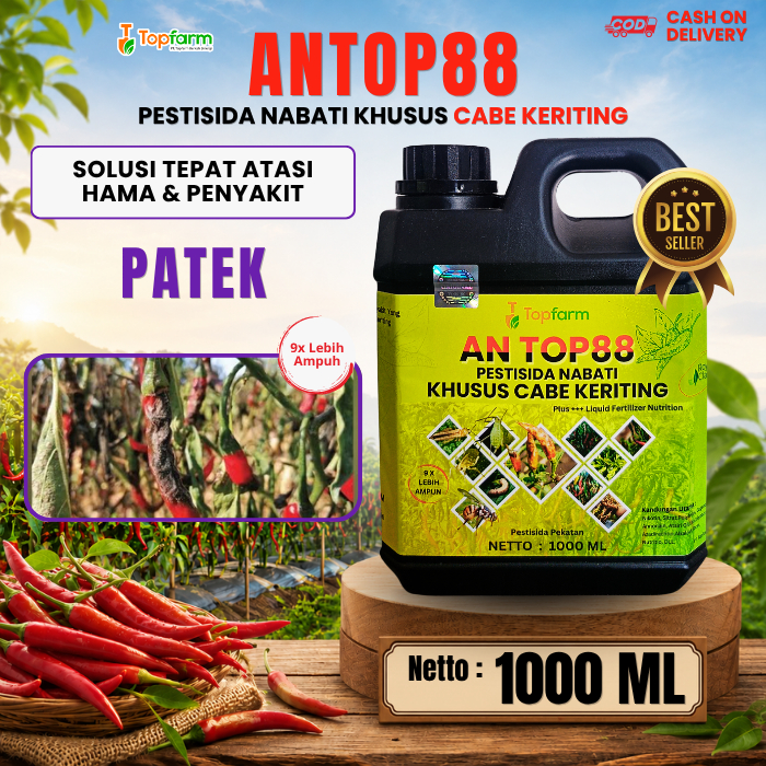 Obat Cabe Merah Terkena Patek / Obat Anti Patek Buah Cabe / Obat Busuk Buah Cabe / Obat Patek Cabe P