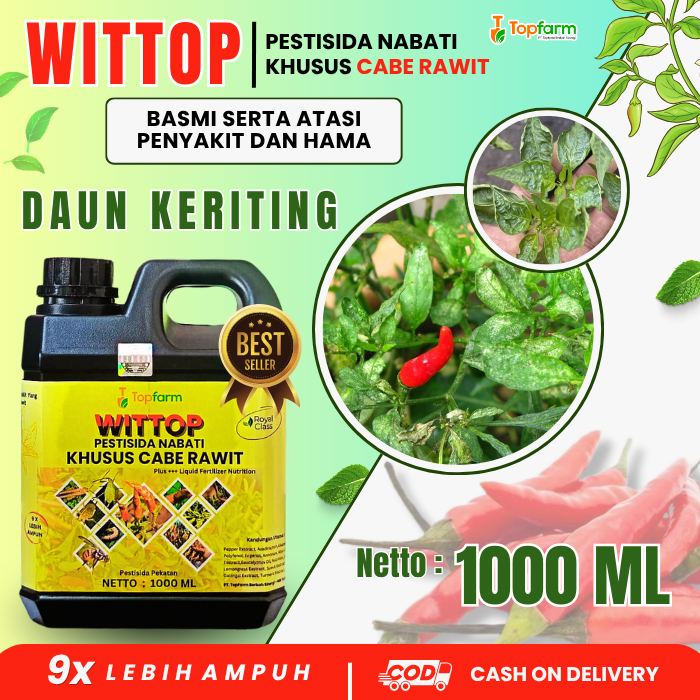 Obat Daun Cabe Keriting Kuning Dan Rontok / Obat Daun Keriting Cabe / Pestisida Cabe / Obat Hama Cab