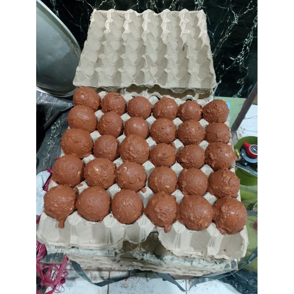 TELUR ASIN MENTAH