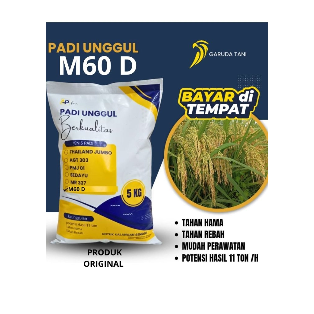 BENIH PADI M60D kemasan 5kg original 100% benih padi berkualitas varietas M60D 5kg