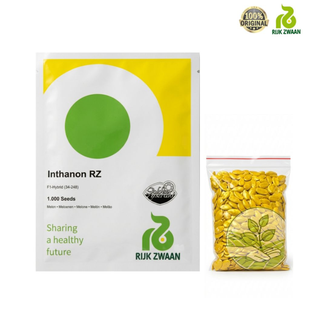 Benih Melon INTHANON RZ F1 1000 Seeds Original