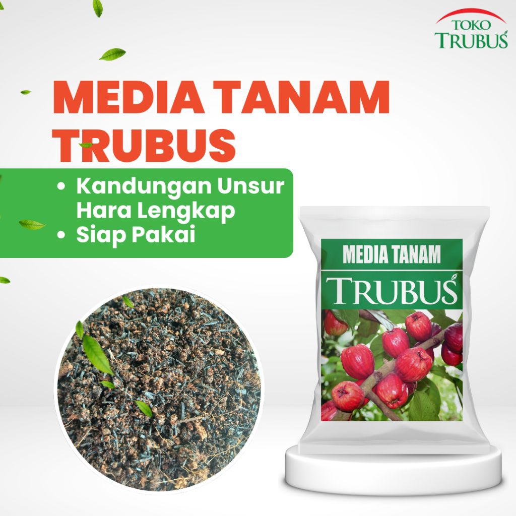 MEDIA TANAM TRUBUS