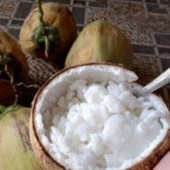 DAGING KELAPA KOPYOR BEKU 250 GR