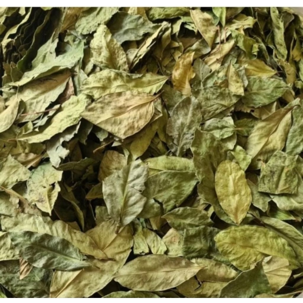Daun Salam/Daun Salam Kering 100 g