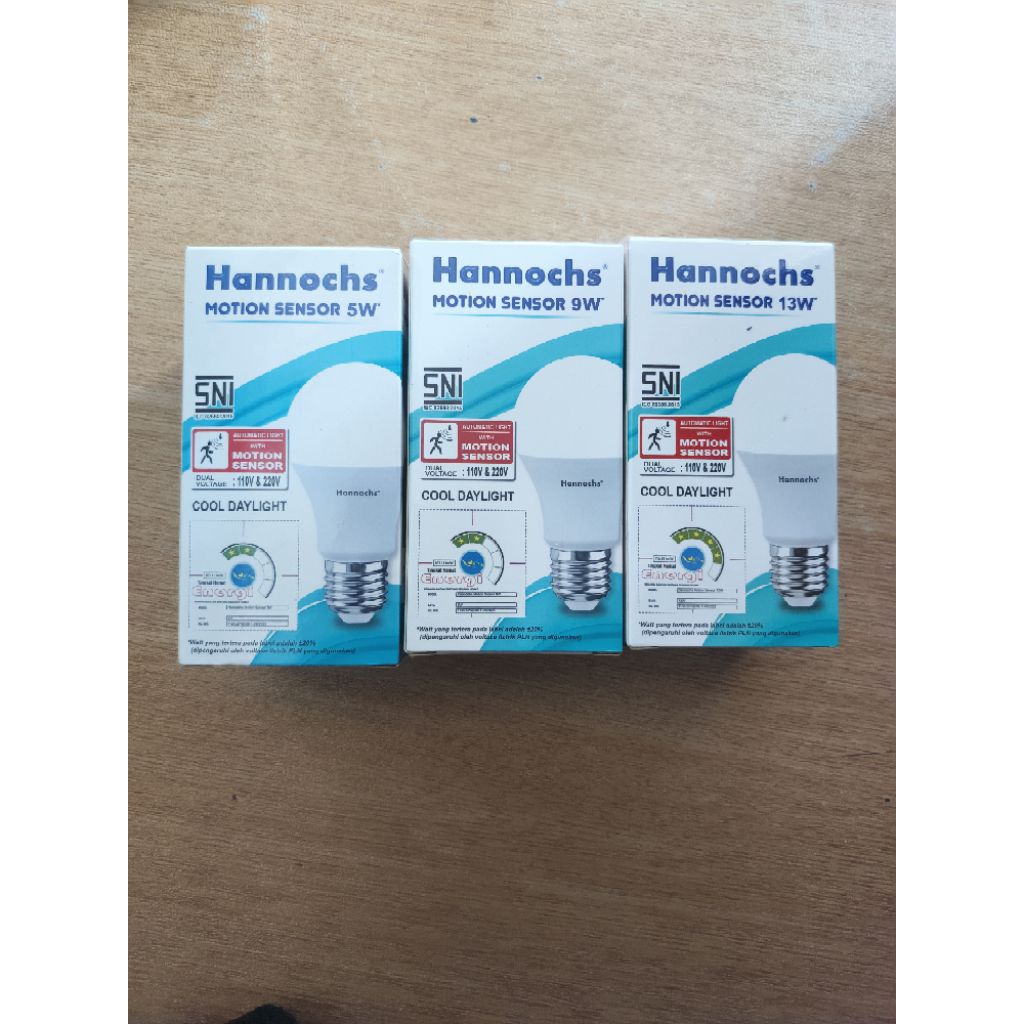 Hannochs Motion Sensor 5-13w