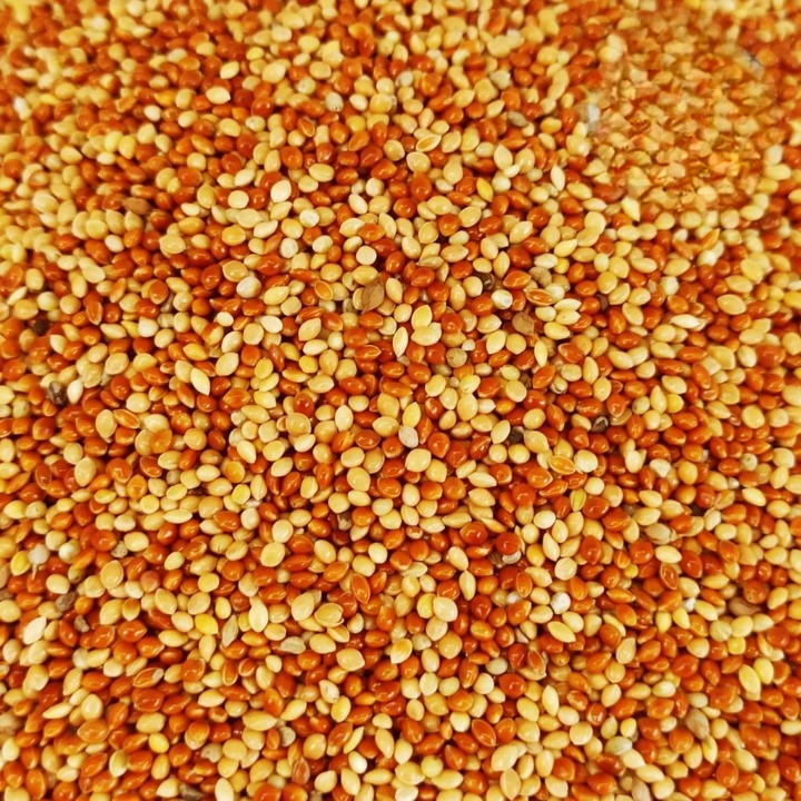 Millet Campur Grade A Pakan Burung Lovebird Millet Merah Putih 1 Kg
