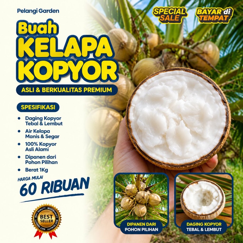 HARGA MURAH  Kelapa Kopyor Jelly Thailand - Kelapa Kopyor Kultur Jaringan