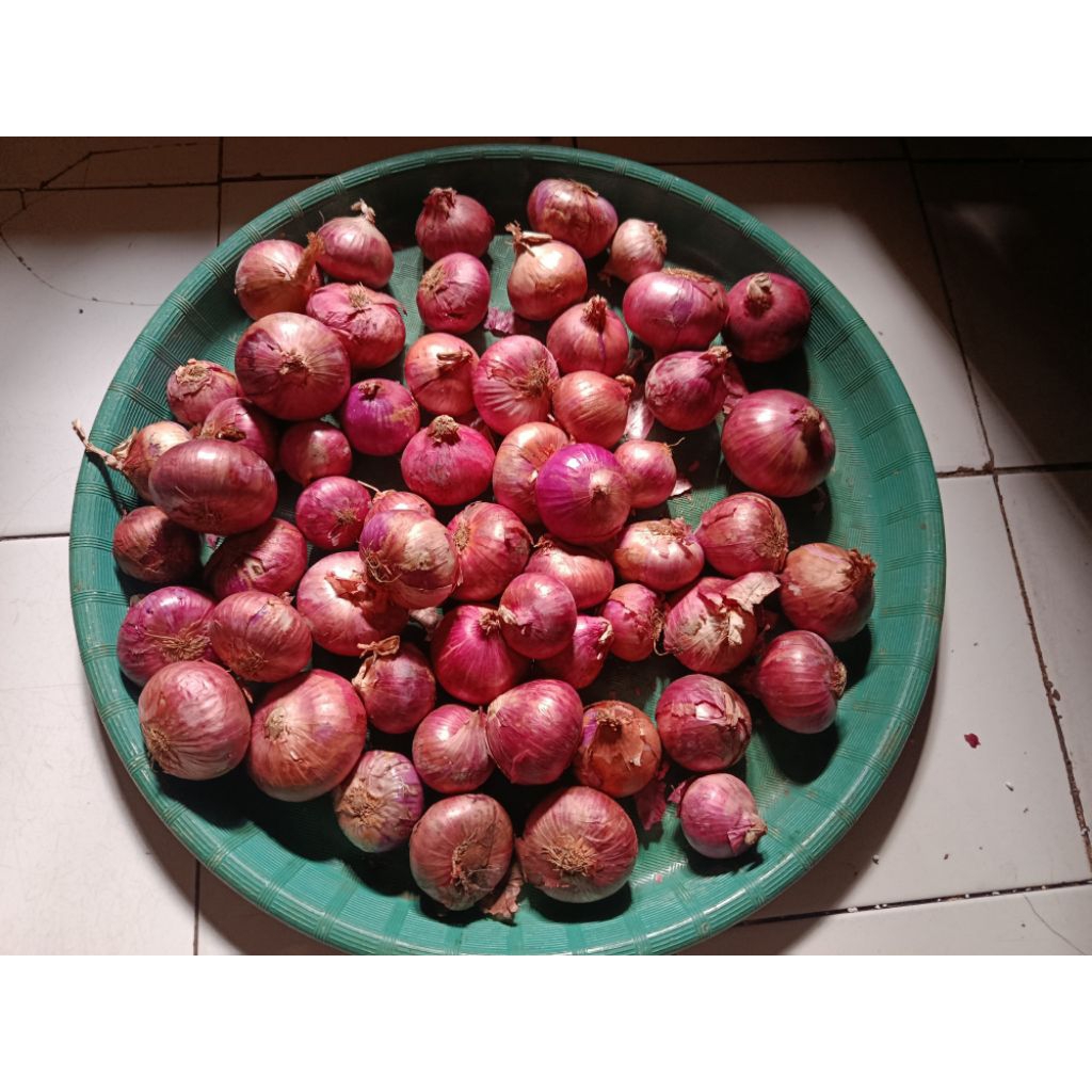 Bawang Merah India Bawang Merah Peking India 1kg