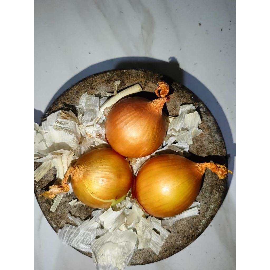 Bawang Bombay 1 kg bawang Bombay ukuran kecil