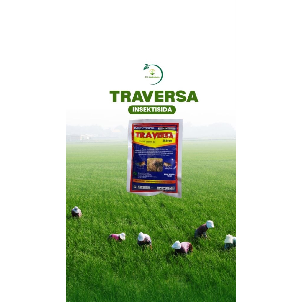 TRAVERSA 20/60 WG 100g