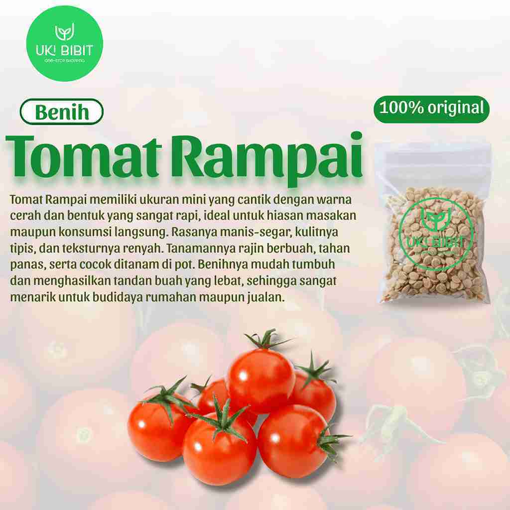 ( 100 Butir ) Benih Biji Tomat Rampai | Tomat Rampai Merah | Tomat Sayur