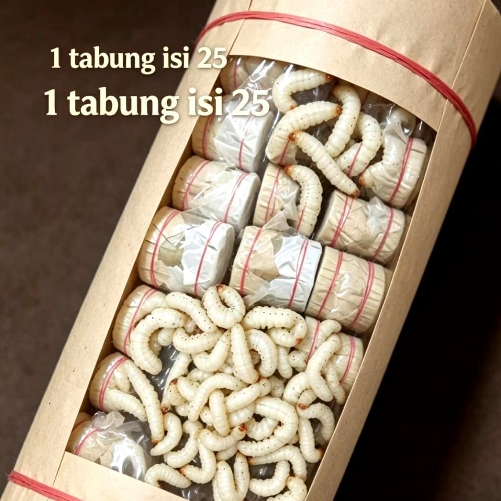 Ulat Bambu isi 25