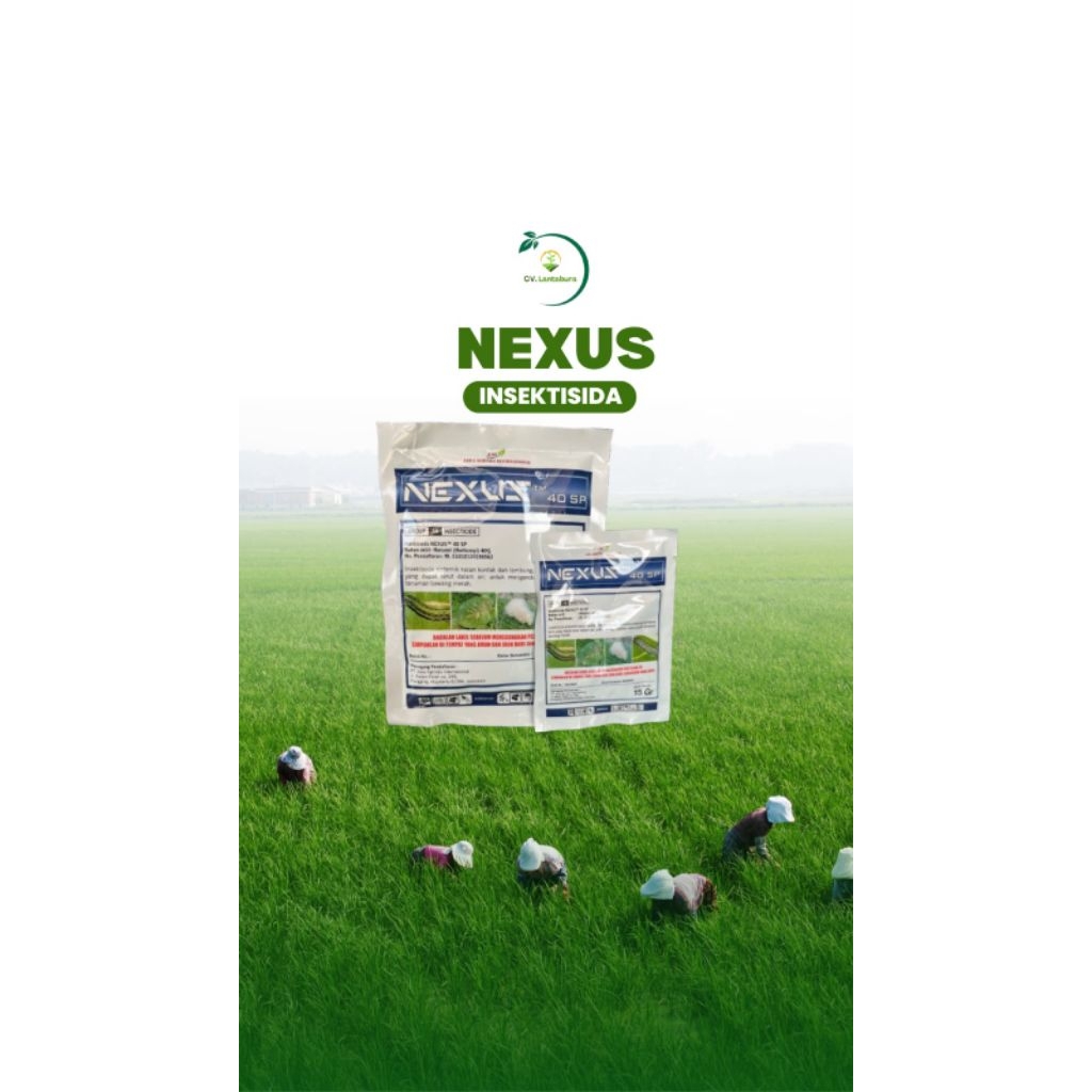 NEXUS 40SP