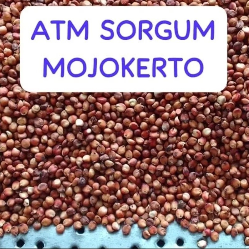 BENIH SORGUM MERAH 1 KG