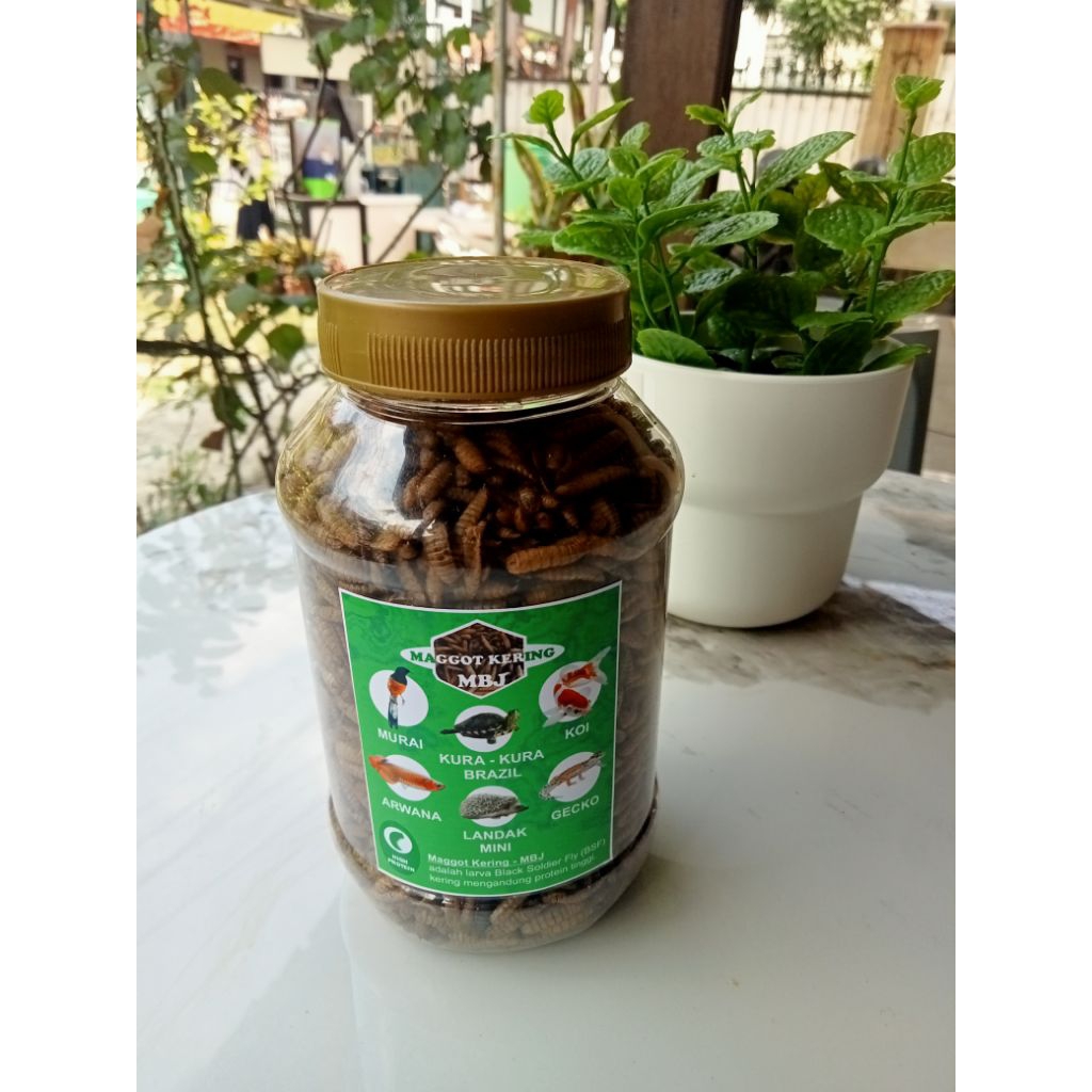 Maggot Kering MBJ Larva Black Soldier Fly Kering Protein Tinggi Untuk Hewan Peliharaan