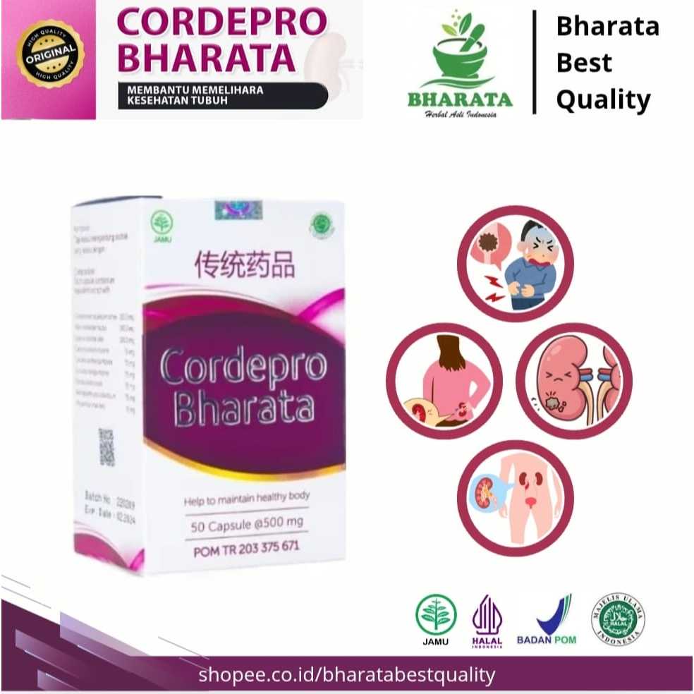 CORDEPRO BHARATA Original 100% Cordepro Bharata Resmi BPOM