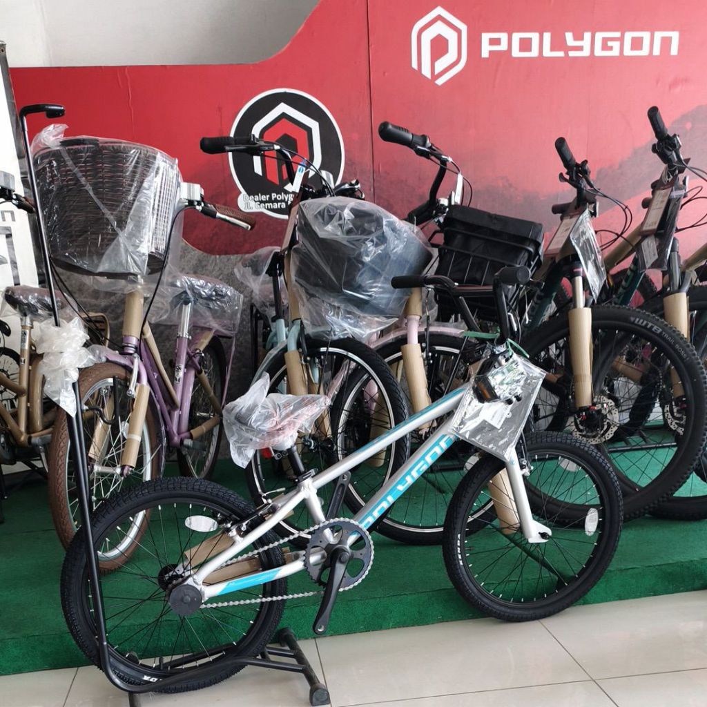 BMX POLYGON ROGUE SILVER Alloy 20"