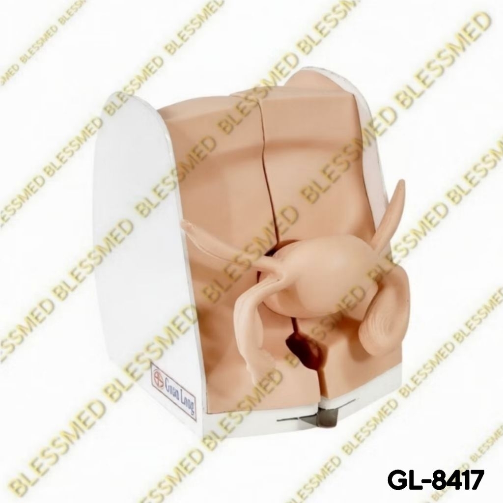 Alat Peraga/Manekin Model Pemasangan Alat Kontrasepsi/IUD 8417