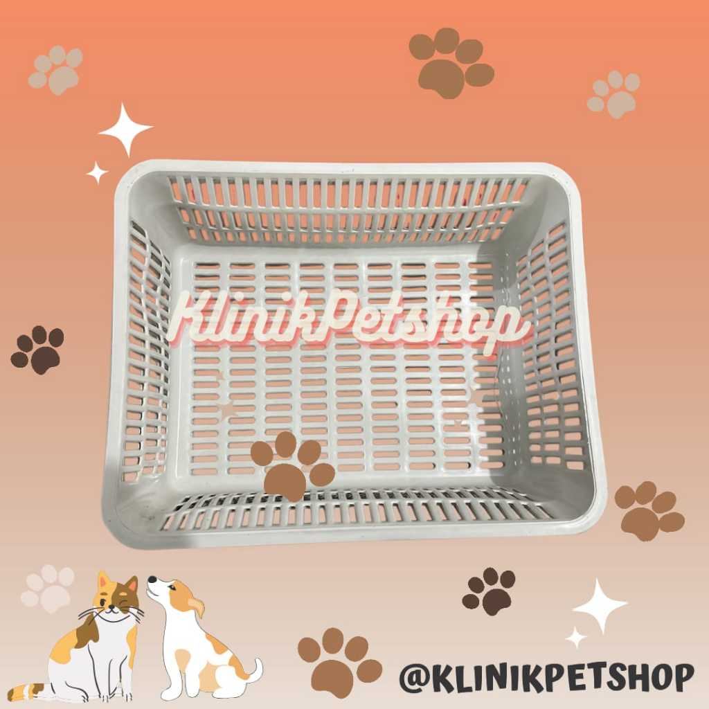 SARINGAN BAK PASIR KUCING