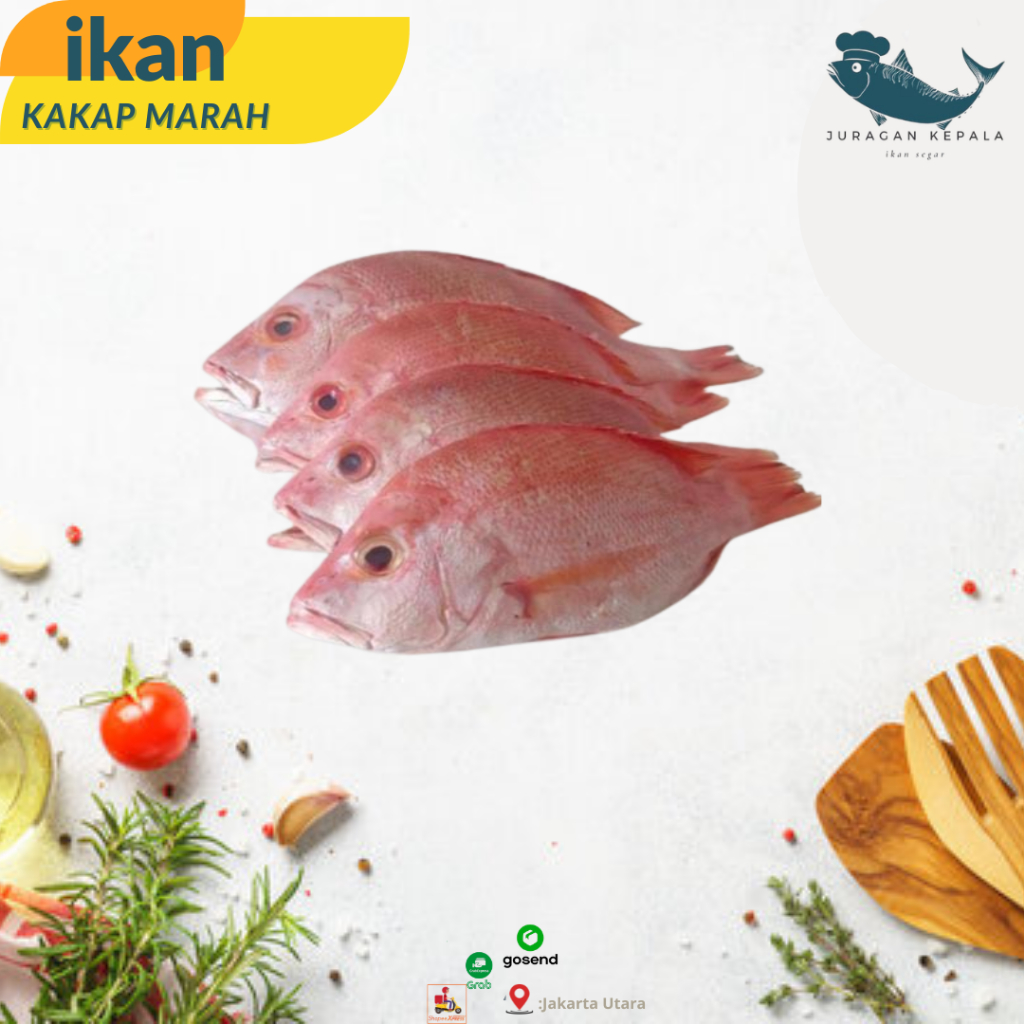 Juragan Ikan Kakap Merah/ Kakap Merah Segar 1KG