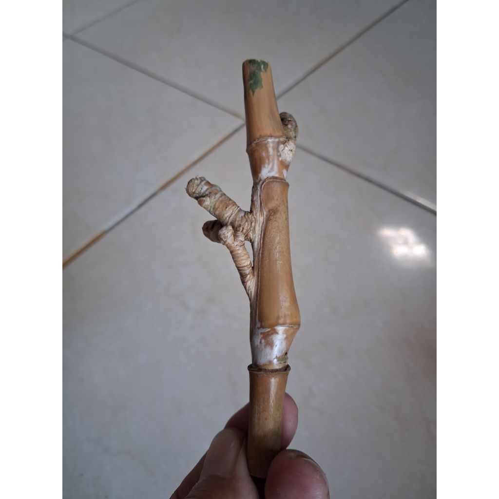 BAMBU UNIK PETUK JALU (12 CM) ISTIMEWA BOSS