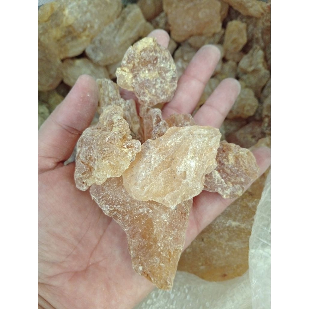 GETAH DAMAR / DAMAR MATA KUCING / DAMAR RESIN