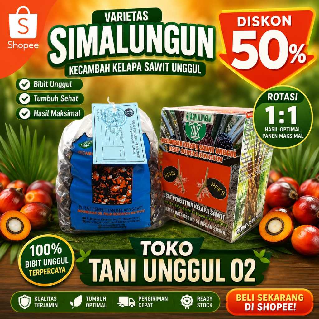 Bibit Kecambah Sawit PPKS DxP Yangambi Unggul Asli Medan Bersertifikat Resmi 250 Butir
