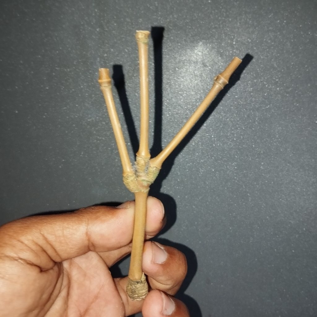BAMBU LANGKA SONGGOBUWONO