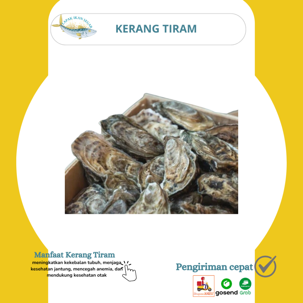 Kerang Tiram Segar / Kerang Tiram Segar 1KG