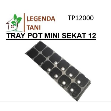 Tray Pot Mini Sekat 12 Lubang – Tray Semai Bibit Plastik untuk Pembibitan Tanaman