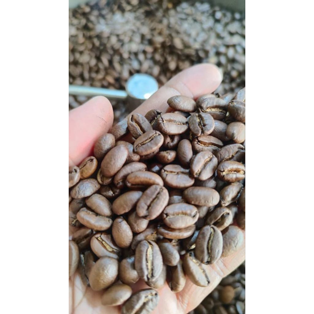 Kopi Asli Garut