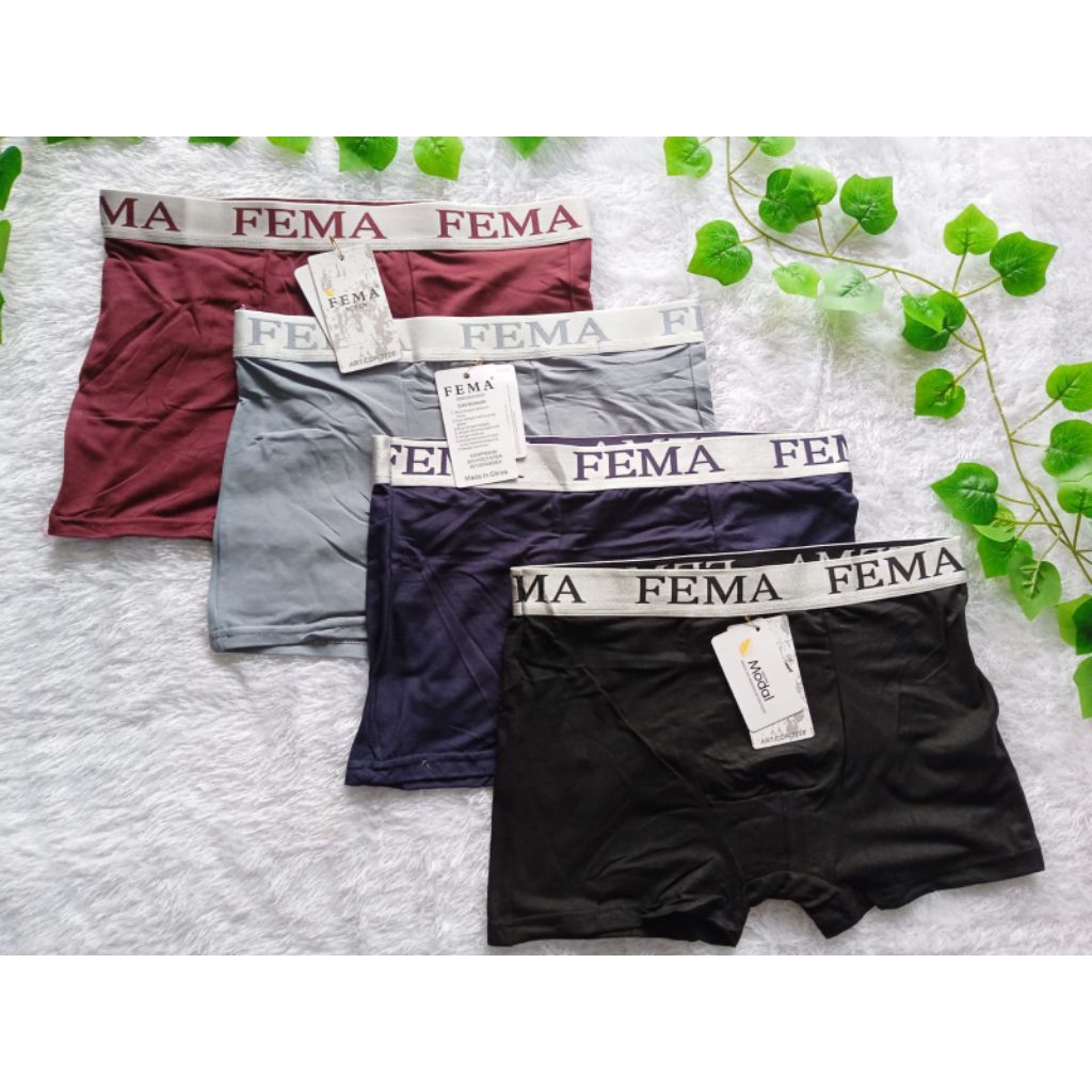 CELANA DALAM PRIA FEMA
